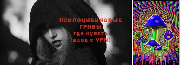 Альфа ПВП Новозыбков