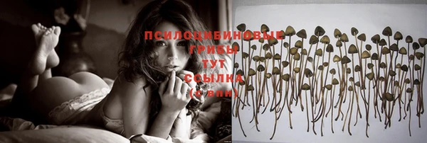 прущие крисы Нея