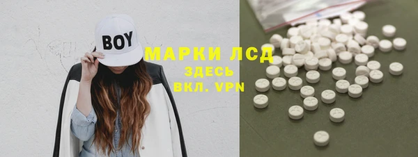 Альфа ПВП Новозыбков