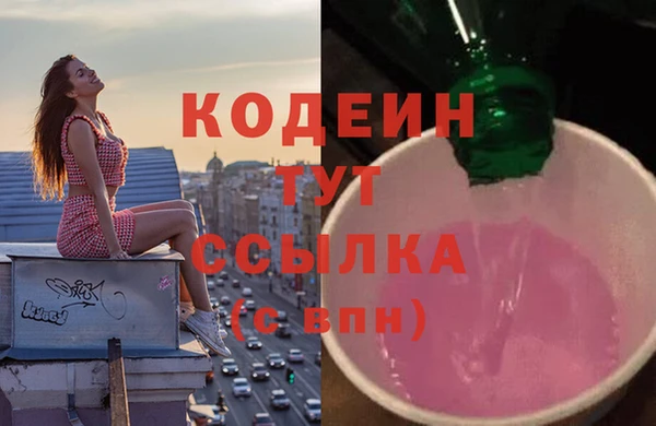 Альфа ПВП Новозыбков