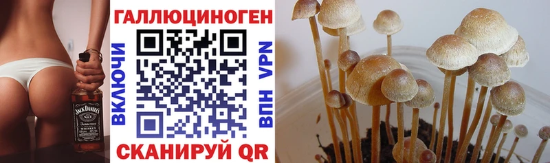 купить наркоту  кракен онион  Галлюциногенные грибы мухоморы  Калачинск 